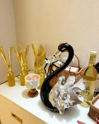 -紫琪尔·匠心连锁·胸部护理养护