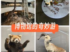 -昆明动物博物馆