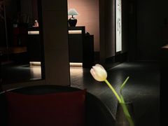 -子福慧(虹桥店)