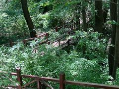 -大岭沟猕猴桃谷风景区