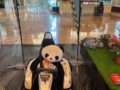 -成都保利公园皇冠假日酒店(熊猫基地店)