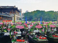-荔湾湖公园
