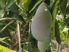 -龙达温泉生态城