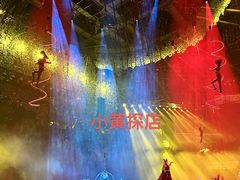 -灵玲国际马戏城
