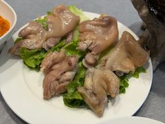 -丁老爷子苏香圆