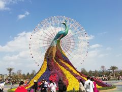 门面-七彩云南欢乐世界