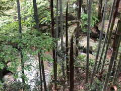 -山沟沟景区