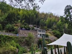 -MOJ coffee(瓯海泽雅水碓坑店)