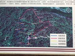 -云南屏边大围山国家公园