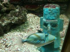 -北戴河圣蓝海洋公园