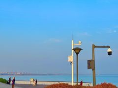 -贡湖湾湿地公园