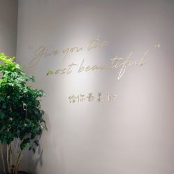 -爱维丽