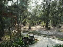 -北海金海湾红树林生态旅游区