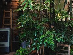 -时光花园(白鹭洲店)