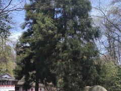 -贵州省植物园