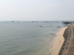 -北海金海湾红树林生态旅游区