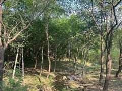 -白水寺森林公园