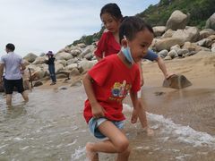 -广东惠东海龟国家级自然保护区