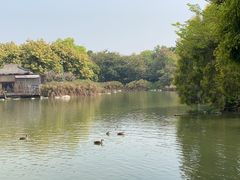 -海珠湖公园