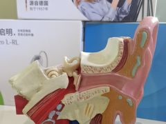 -海之声助听器佛山旗舰店(华麟大厦店)