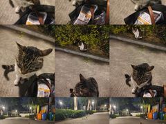 -味友·厦门味(集美店)