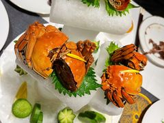 -甄御•海鲜新青岛菜(麦岛店)