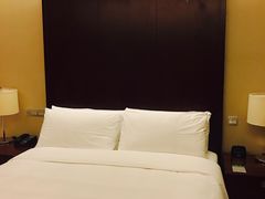 -上海龙之梦万丽酒店