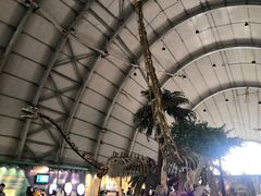 -辽宁古生物博物馆