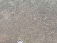 -万绿园