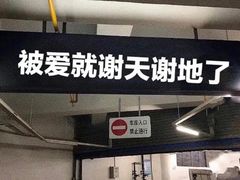 -猫尾侦探俱乐部·剧本杀·狼人杀