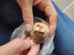 -金盆阿嬷香菇茶叶蛋(玄光店)