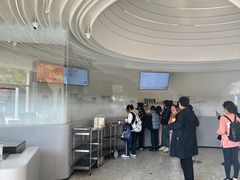 -喜茶(迪士尼小镇DP店)