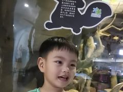 -台州海洋世界