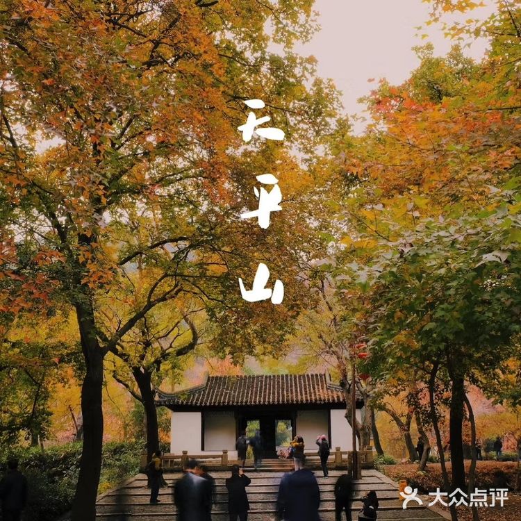秋意浓 | 苏州天平山赏枫