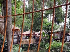 -二荆条·蜀鲜汇城市森林火锅