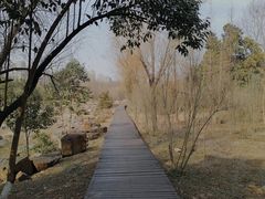 -大蜀山国家森林公园
