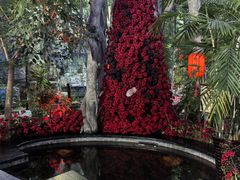 -东方华地城湿地温泉度假区