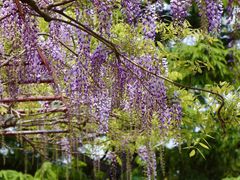 -尹兰楼西北风情餐厅(嘉定店)