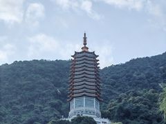 -深圳仙湖植物园