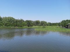 -溱湖国家湿地公园