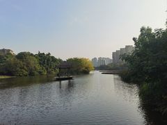 -金山公园