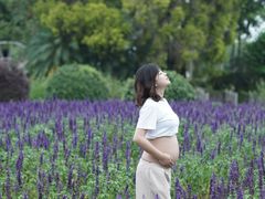 -广东花都香草世界旅游度假区