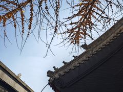 -长安寺