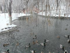 -水磨沟公园
