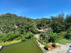 -厦门园林植物园-植物园滴水山房