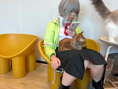 -有喵·猫咖·狗咖·30几只猫10只小狗(岗厦店)