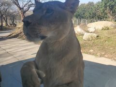 -西安秦岭野生动物园