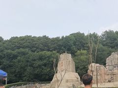 -哈尔滨北方森林动物园