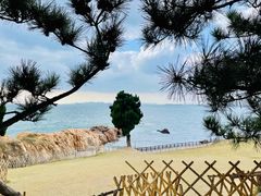 -小麦岛公园