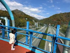 -沣峪口